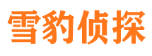 桓仁市侦探公司